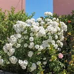 Holiday home Clios House Kavalleraina