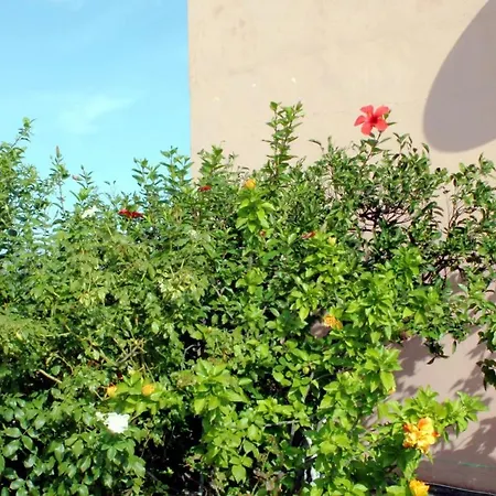 Clios House Kavalleraina