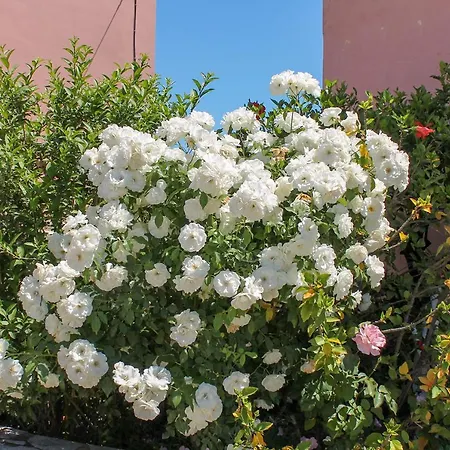 Tatil Evi Clios House Kavalleraina